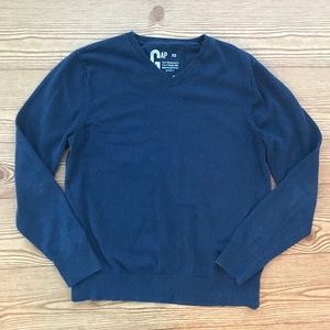 Gap V-Neck Pull over Sweater